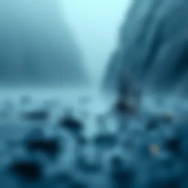 Magnificent 비트코인과 코인마켓캡의 이해
