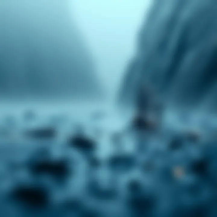 Magnificent 비트코인과 코인마켓캡의 이해