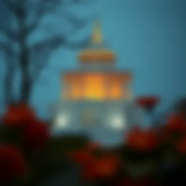 Magnificent 볼륨 스프레드 분석: 암호화폐 거래의 심층적 이해