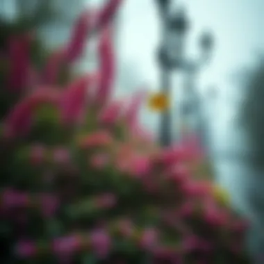 Notable Arbscan: 이더리움의 거래 및 생태계 분석 시스템