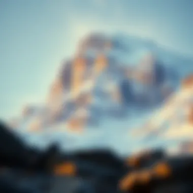 Strategic investment insights related to Avalanche