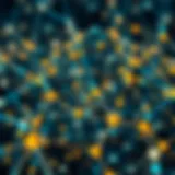 An intricate network of blockchain connections