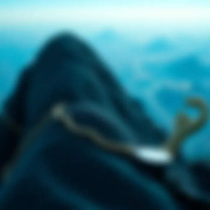 Future outlook on the evolution of cryptocurrency scalability