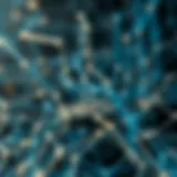 Graphical representation of blockchain technology and its features