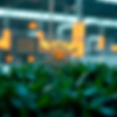 Ecosystem components of Hedera Hashgraph