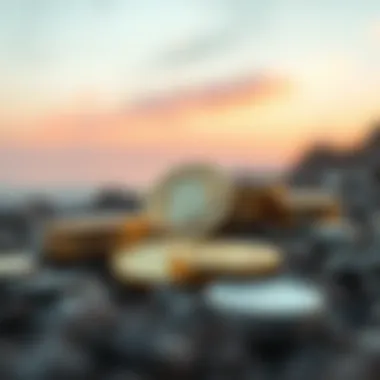 Visualization of various investment strategies for alternative cryptocurrencies