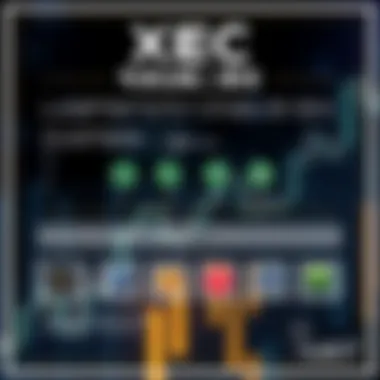 Infographic on investment strategies involving XEC and USDT