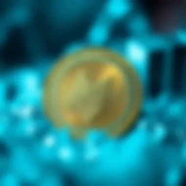 Future predictions for NEM Coin