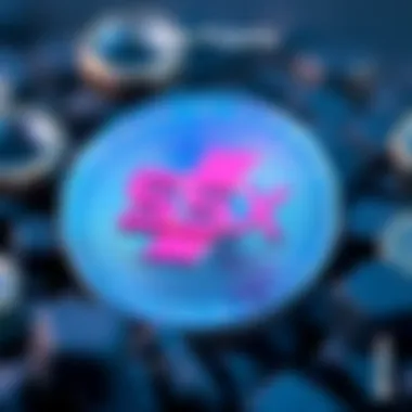 Future prospects of SSX Coin