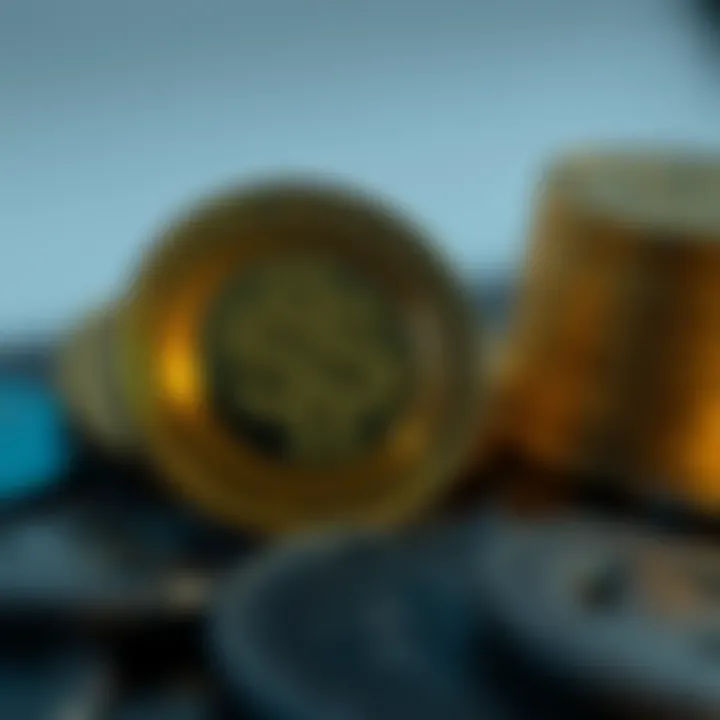 Investment strategies related to SSX Coin