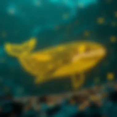 Understanding Whale Addresses in Crypto Visual representation of whale addresses in cryptocurrency